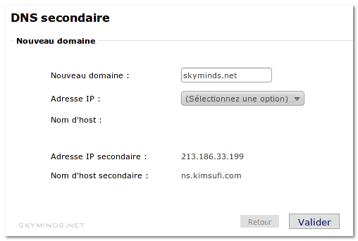 dns ovh domaines dns1