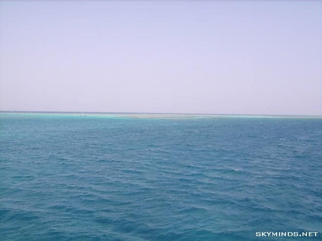 Plongées en Mer Rouge et dauphins au large d’Hurghada photo 3