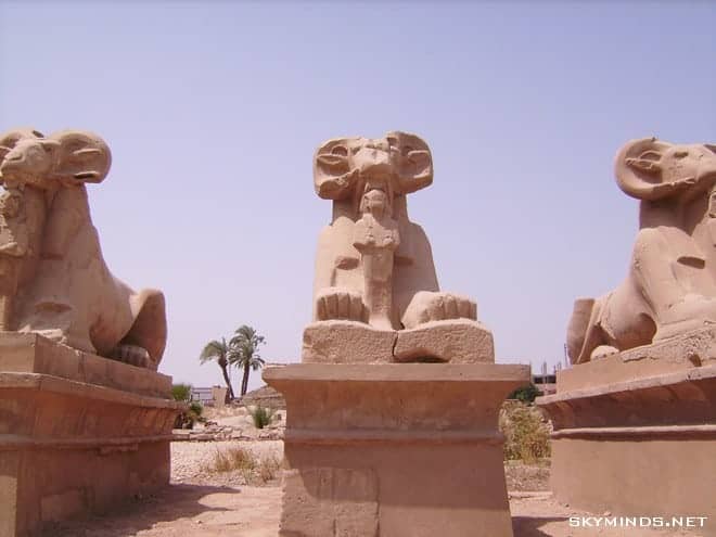 Louxor : temple de Karnac, musée du papyrus, bords du Nil, mine d'albâtre, Vallée des Rois et temple de Medinet Habu photo 24