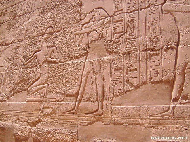 Louxor : temple de Karnac, musée du papyrus, bords du Nil, mine d'albâtre, Vallée des Rois et temple de Medinet Habu photo 13
