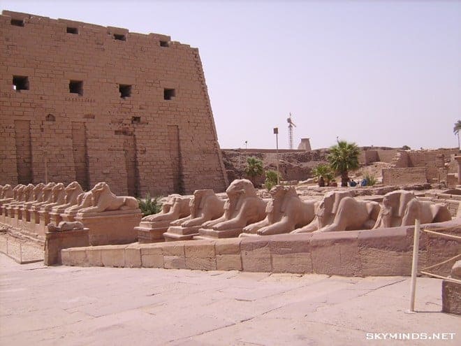 Louxor : temple de Karnac, musée du papyrus, bords du Nil, mine d'albâtre, Vallée des Rois et temple de Medinet Habu photo 26