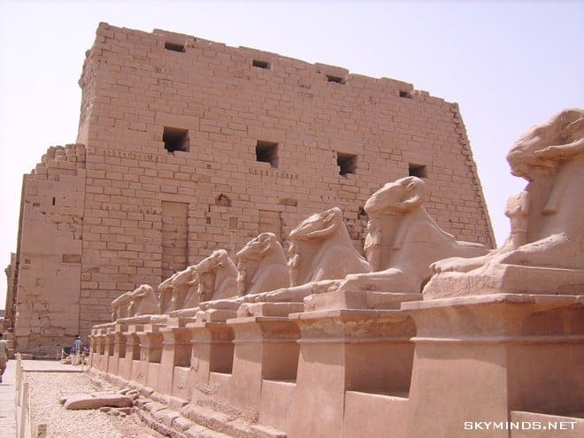 Louxor : temple de Karnac, musée du papyrus, bords du Nil, mine d'albâtre, Vallée des Rois et temple de Medinet Habu photo 25