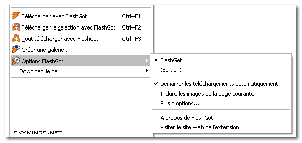 TÉLÉCHARGER AVEC FLASHGET SOUS FIREFOX