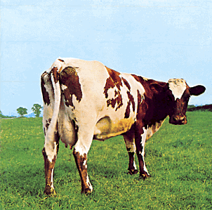 pink floyd atom heart mother cover